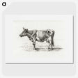 3-48_Jean-Bernard_picture