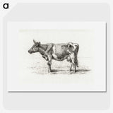 3-48_Jean-Bernard_picture