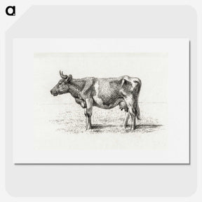 3-48_Jean-Bernard_picture