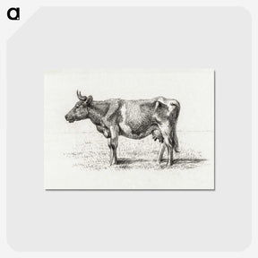 3-48_Jean-Bernard_postcard
