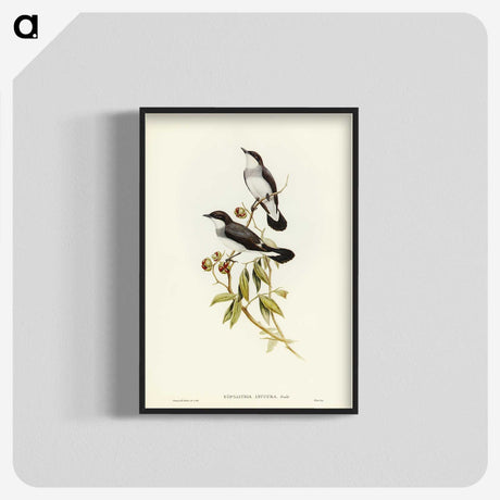 3-48_John-Gould_blk-crop