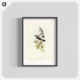 3-48_John-Gould_blk