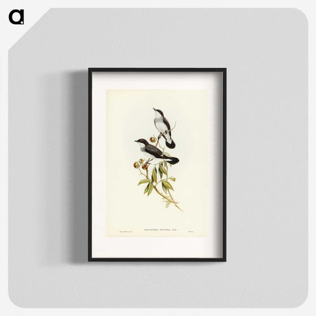 3-48_John-Gould_blk