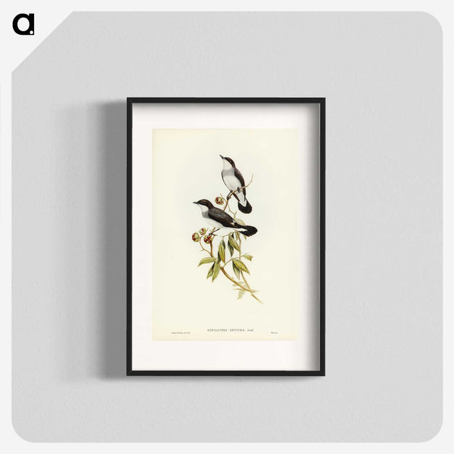 3-48_John-Gould_blk