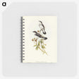 3-48_John-Gould_memo