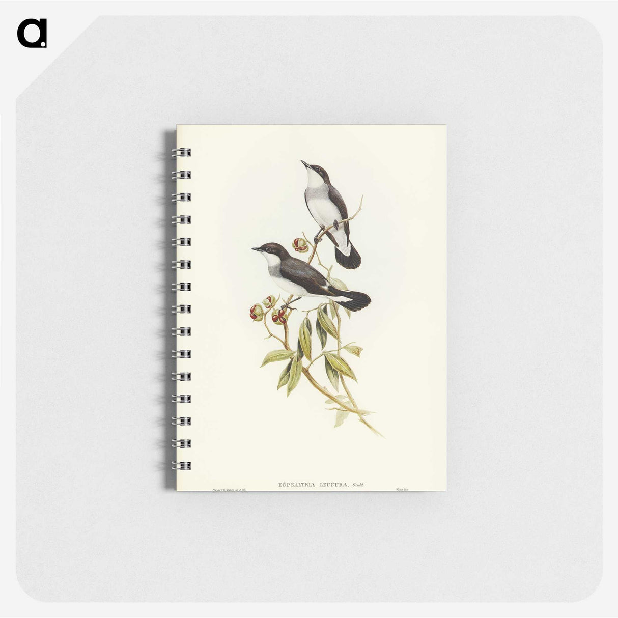 3-48_John-Gould_memo