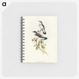 3-48_John-Gould_memo