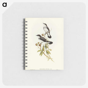 3-48_John-Gould_memo