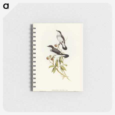 3-48_John-Gould_memo