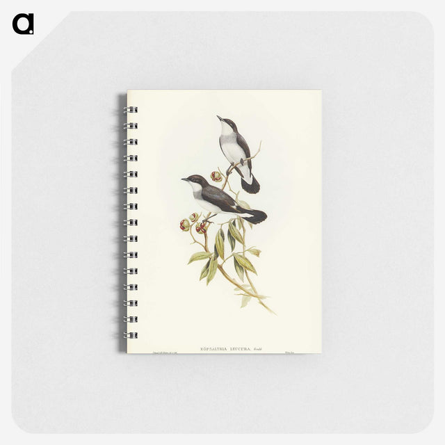 3-48_John-Gould_memo