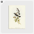 3-48_John-Gould_postcard