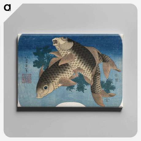 アートパネル-Hokusai's Carp Swimming by Water Weeds - 葛飾 北斎 Canvas.