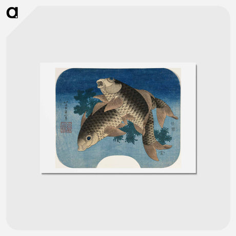 アートポストカード-Hokusai's Carp Swimming by Water Weeds - 葛飾 北斎 Postcard.