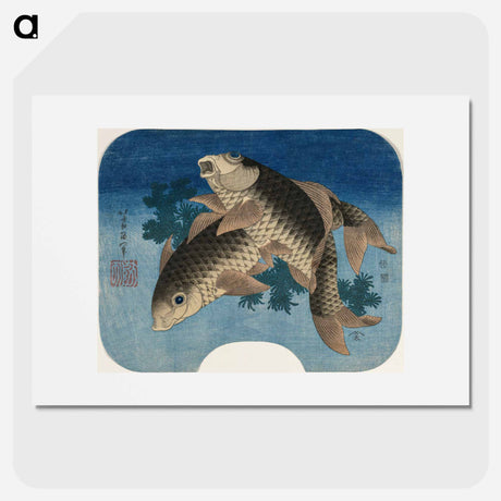 アートポスター-Hokusai's Carp Swimming by Water Weeds - 葛飾 北斎 Poster.