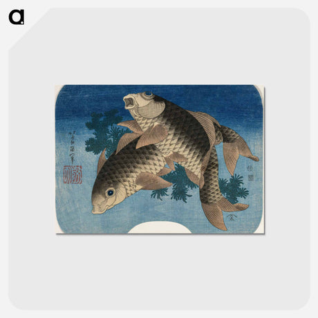 アートポストカード-Hokusai's Carp Swimming by Water Weeds - 葛飾 北斎 Postcard.