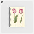 アートメモ帳-Tulipa gesneriana
 - マリア ジビーラ メーリアン Memo.