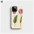 3-48_Maria-Sibylla-Merian_phone