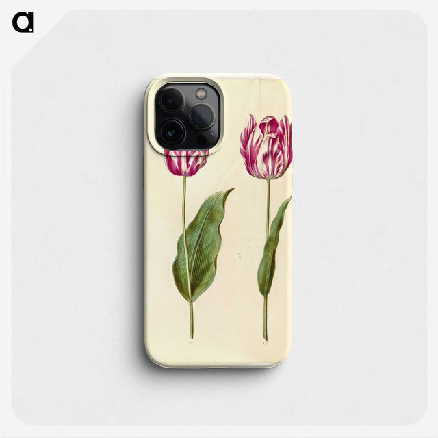 3-48_Maria-Sibylla-Merian_phone