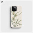 3-48_Mary-Vaux-Walcott_phone