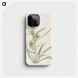 3-48_Mary-Vaux-Walcott_phone
