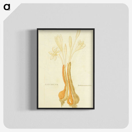3-48_National-Library-of-Medicine_blk-crop