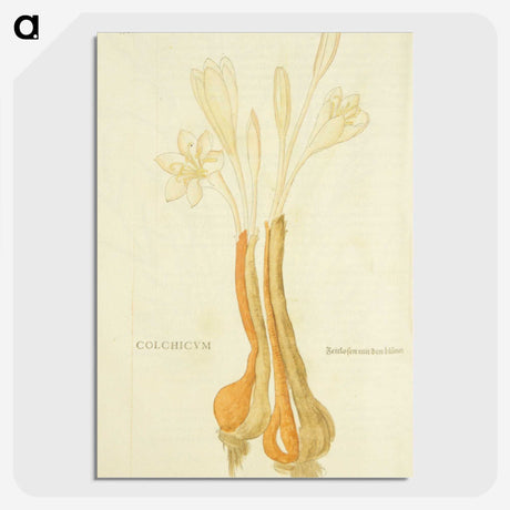 3-48_National-Library-of-Medicine_picture-crop