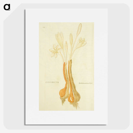 3-48_National-Library-of-Medicine_picture