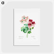 アートポストカード-Cranesbill - ピエール ジョゼフ ルドゥーテ Postcard.