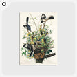 アートポストカード-Mocking Bird from Birds of America
 - アメリカの鳥たち Postcard.