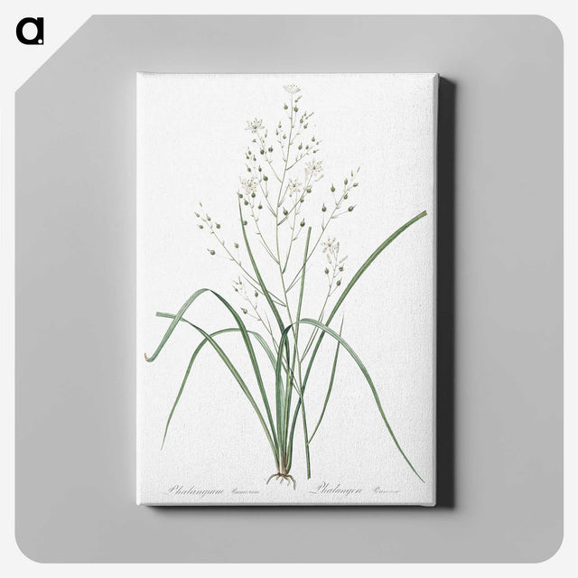 3-48_The-Lilies_canvas