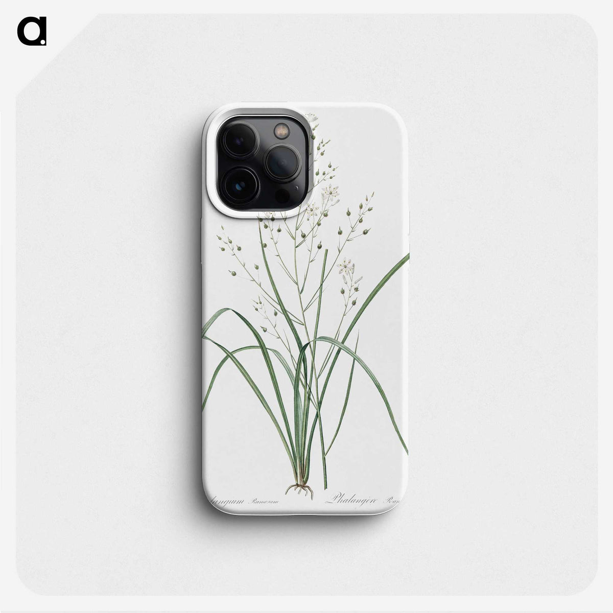 3-48_The-Lilies_phone