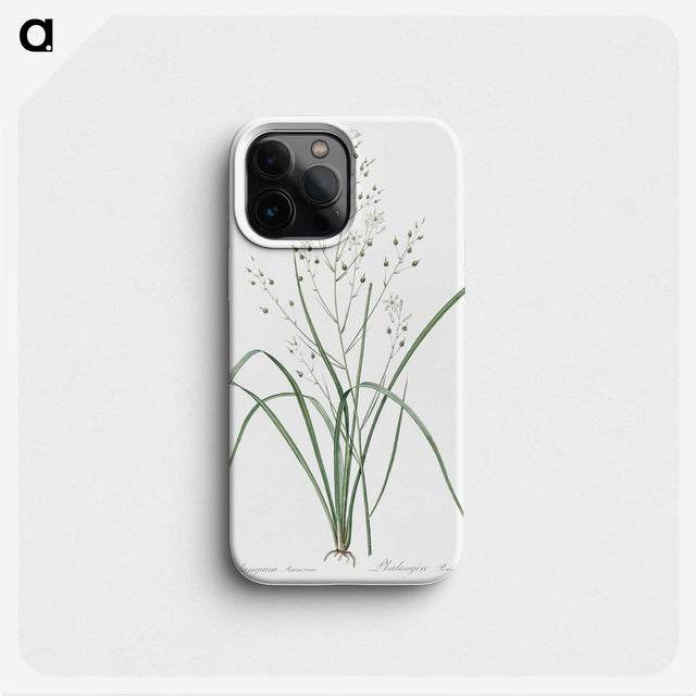 3-48_The-Lilies_phone