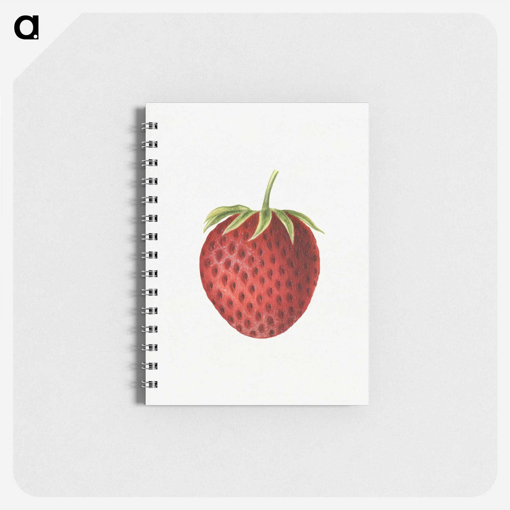 3-48_USDA-Watercolor-Fruit-Painting-Collection_memo