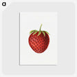 3-48_USDA-Watercolor-Fruit-Painting-Collection_postcard