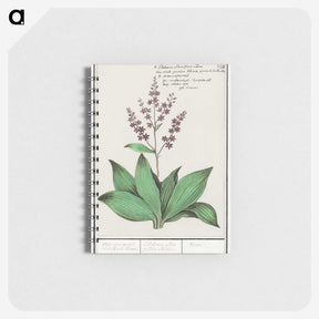 3-49_Anselmus-Boetius-de-Boodt_memo
