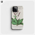 3-49_Anselmus-Boetius-de-Boodt_phone