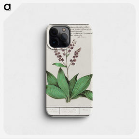 3-49_Anselmus-Boetius-de-Boodt_phone