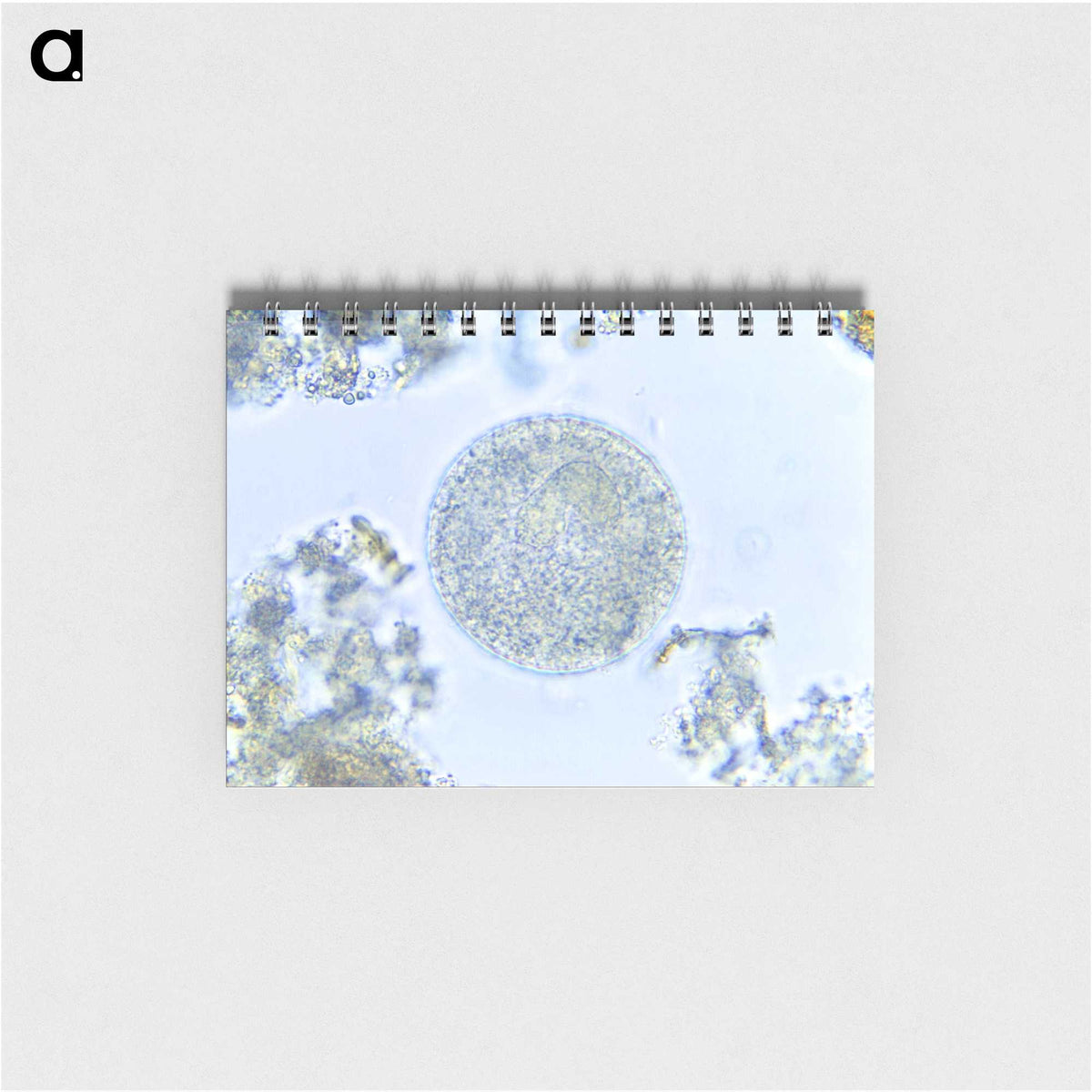 3-49_COVID-19_memo
