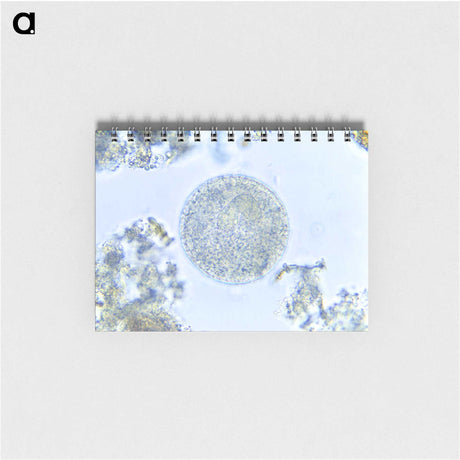 3-49_COVID-19_memo
