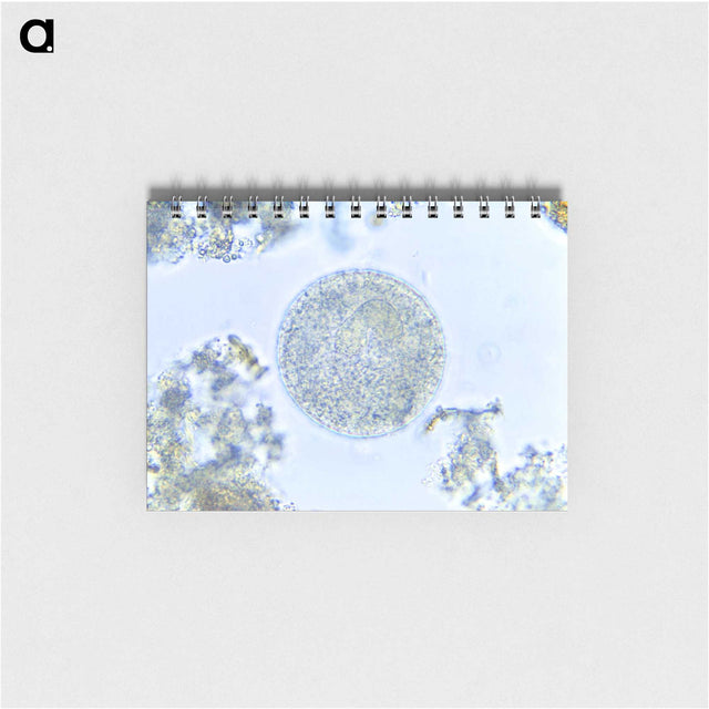 3-49_COVID-19_memo