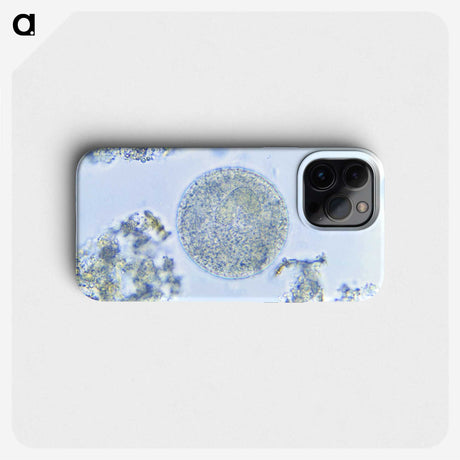 3-49_COVID-19_phone