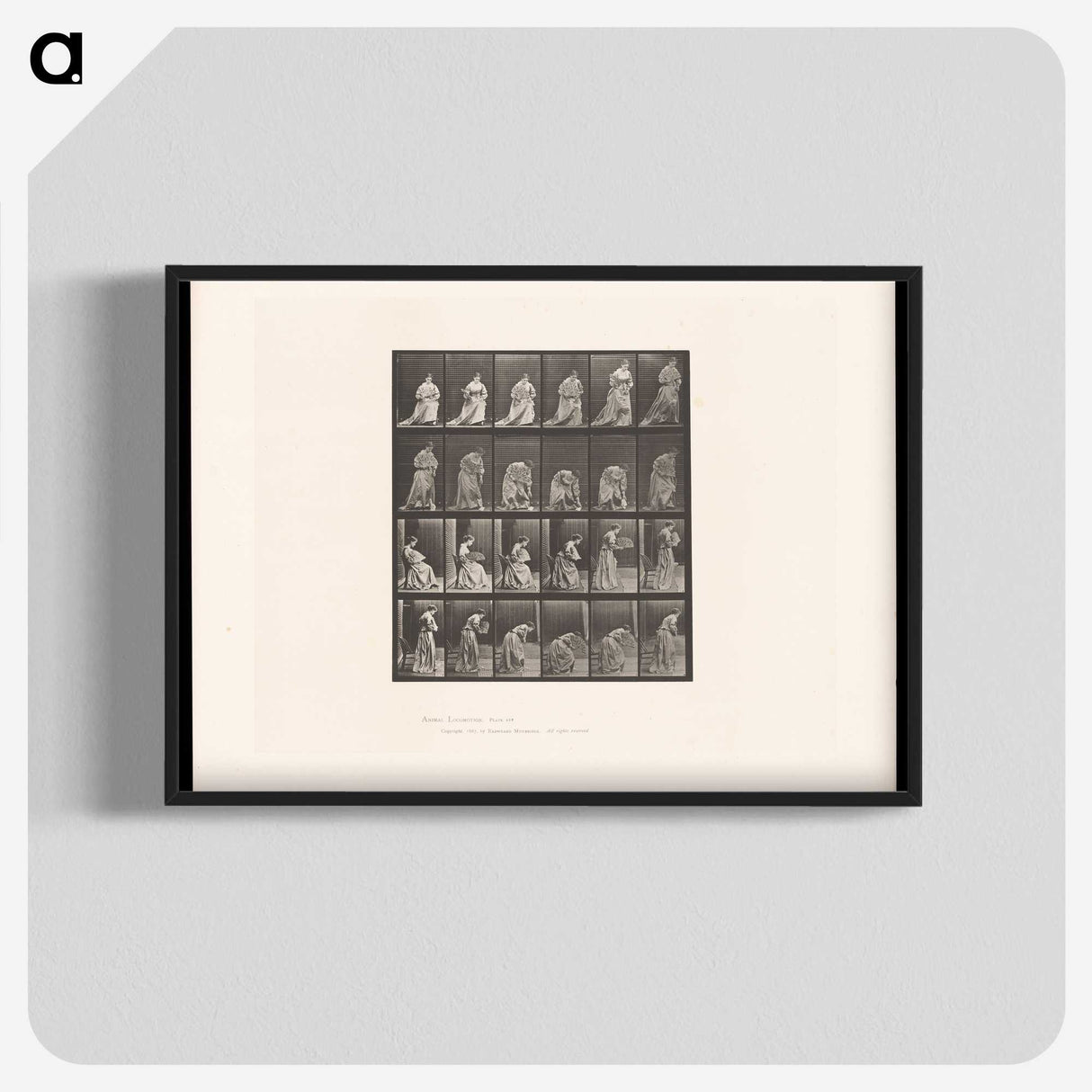 3-49_Eadweard-Muybridge_blk-crop