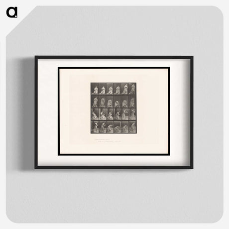 3-49_Eadweard-Muybridge_blk