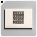3-49_Eadweard-Muybridge_canvas