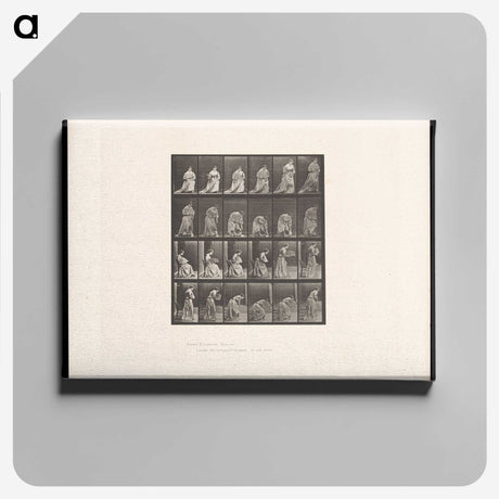 3-49_Eadweard-Muybridge_canvas