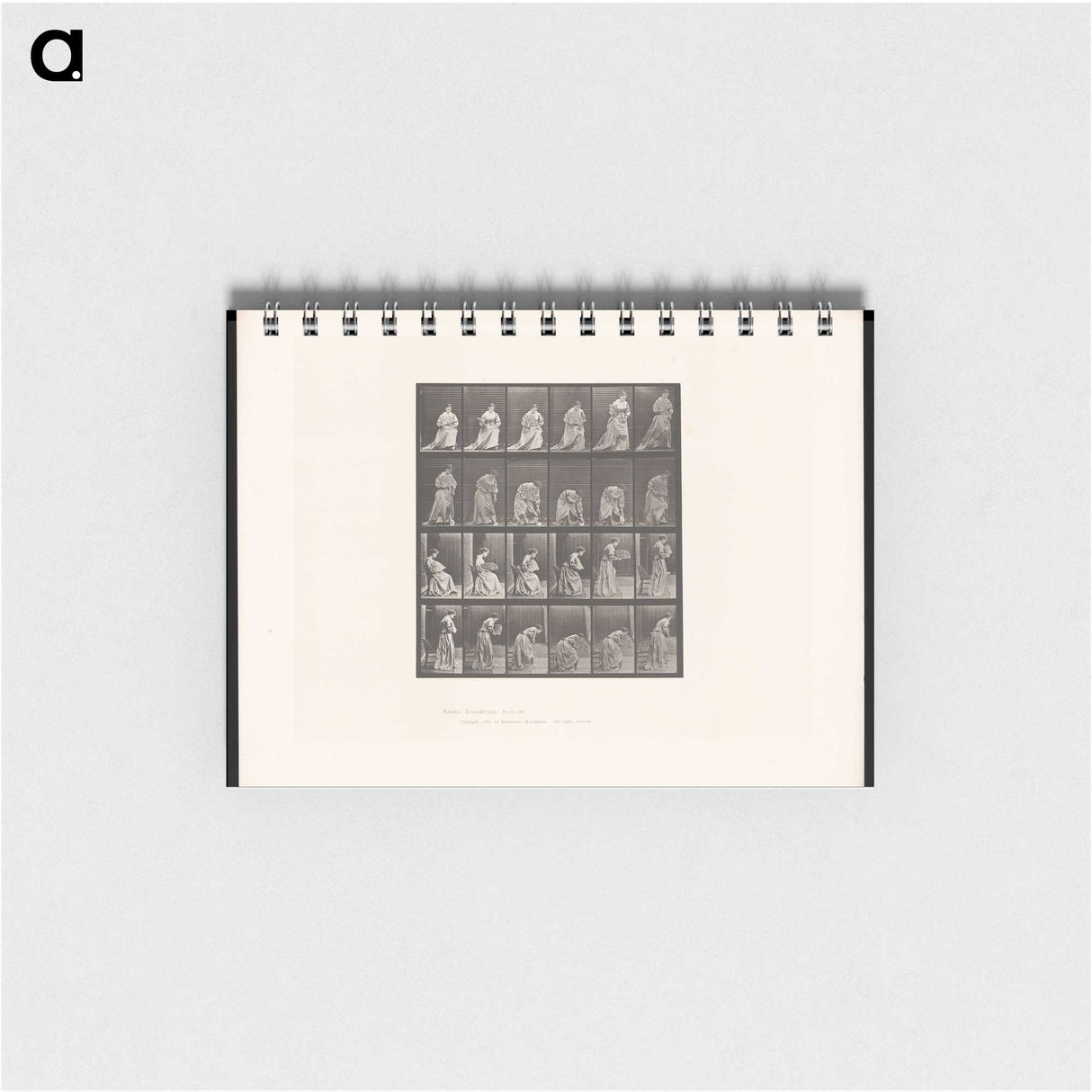 3-49_Eadweard-Muybridge_memo