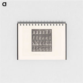 3-49_Eadweard-Muybridge_memo