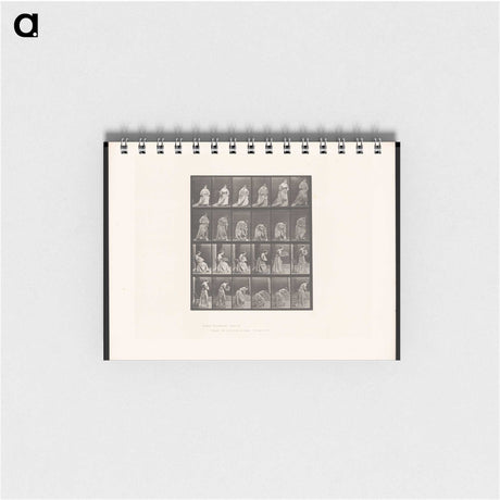 3-49_Eadweard-Muybridge_memo