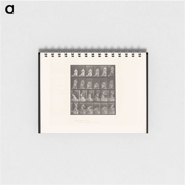 3-49_Eadweard-Muybridge_memo