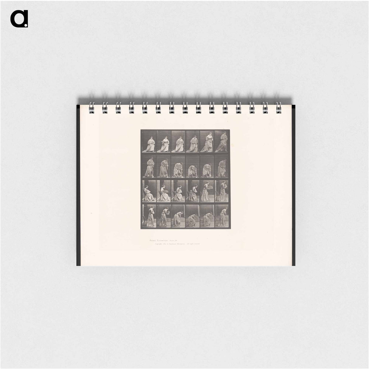 アートメモ帳-Woman with Fan and Handkerchief
 - エドワード マイブリッジ Memo.
